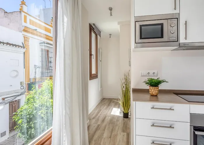 Hanami Centro 1b Apartman