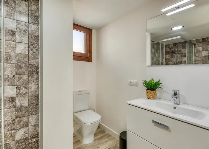 Hanami Centro 1b Estepona